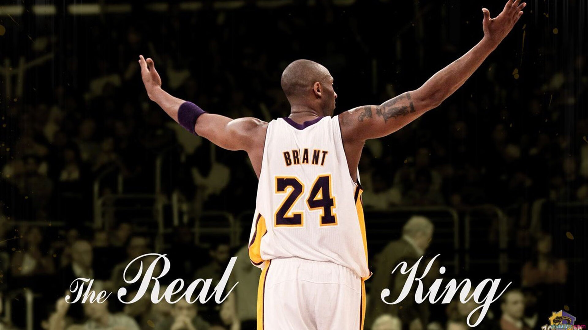 传奇再临:退役巨星担任教练的新篇章,传奇再现最新章节